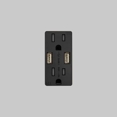 OUTLET MODULE / DUPLEX & 2 USB-A / BLACK
