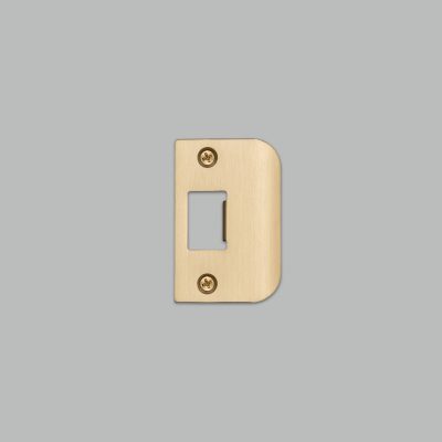 STRIKE PLATE KIT / D SHAPED / STANDARD DOOR / BRASS